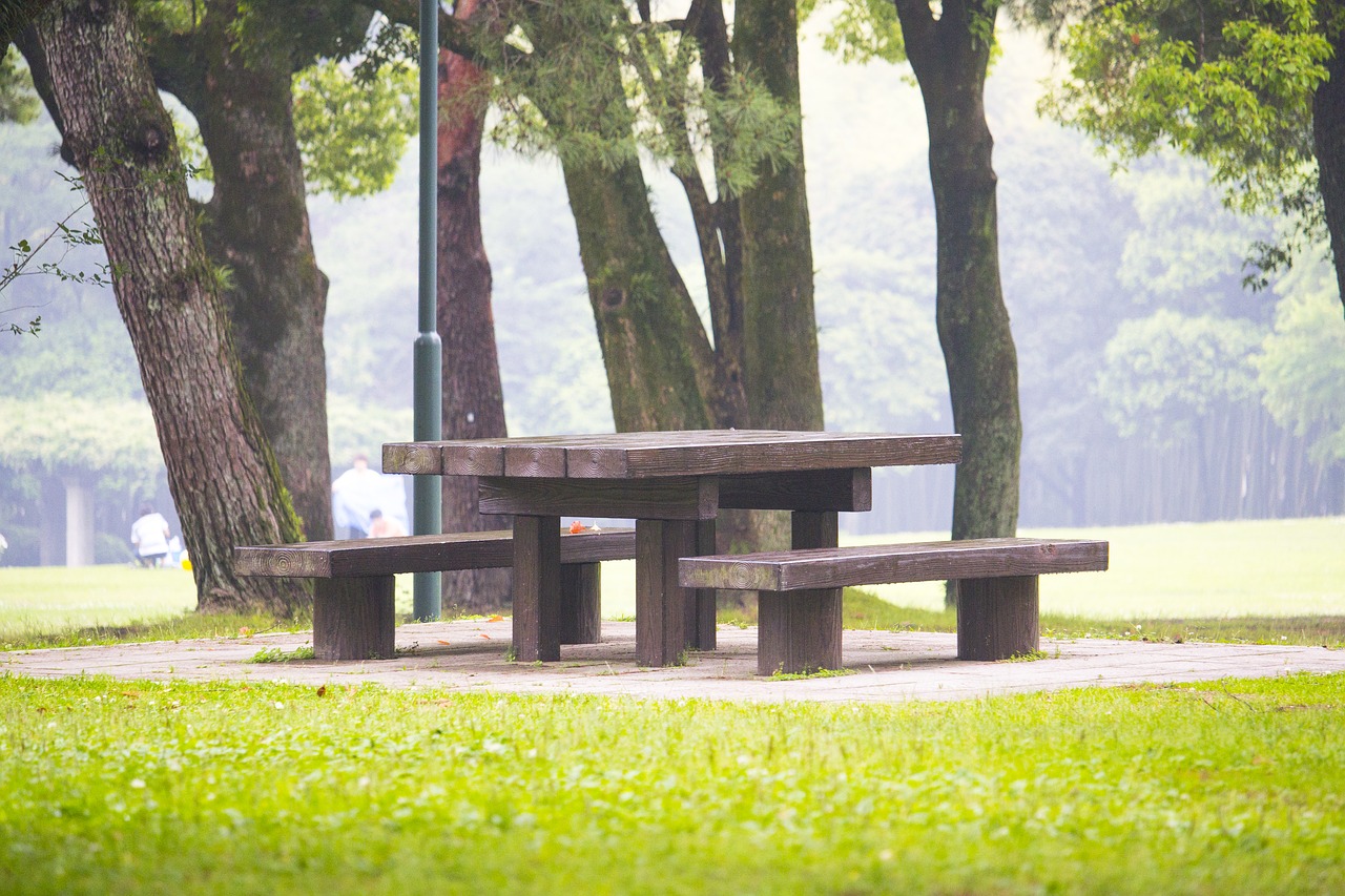 park  bench  outdoors free photo