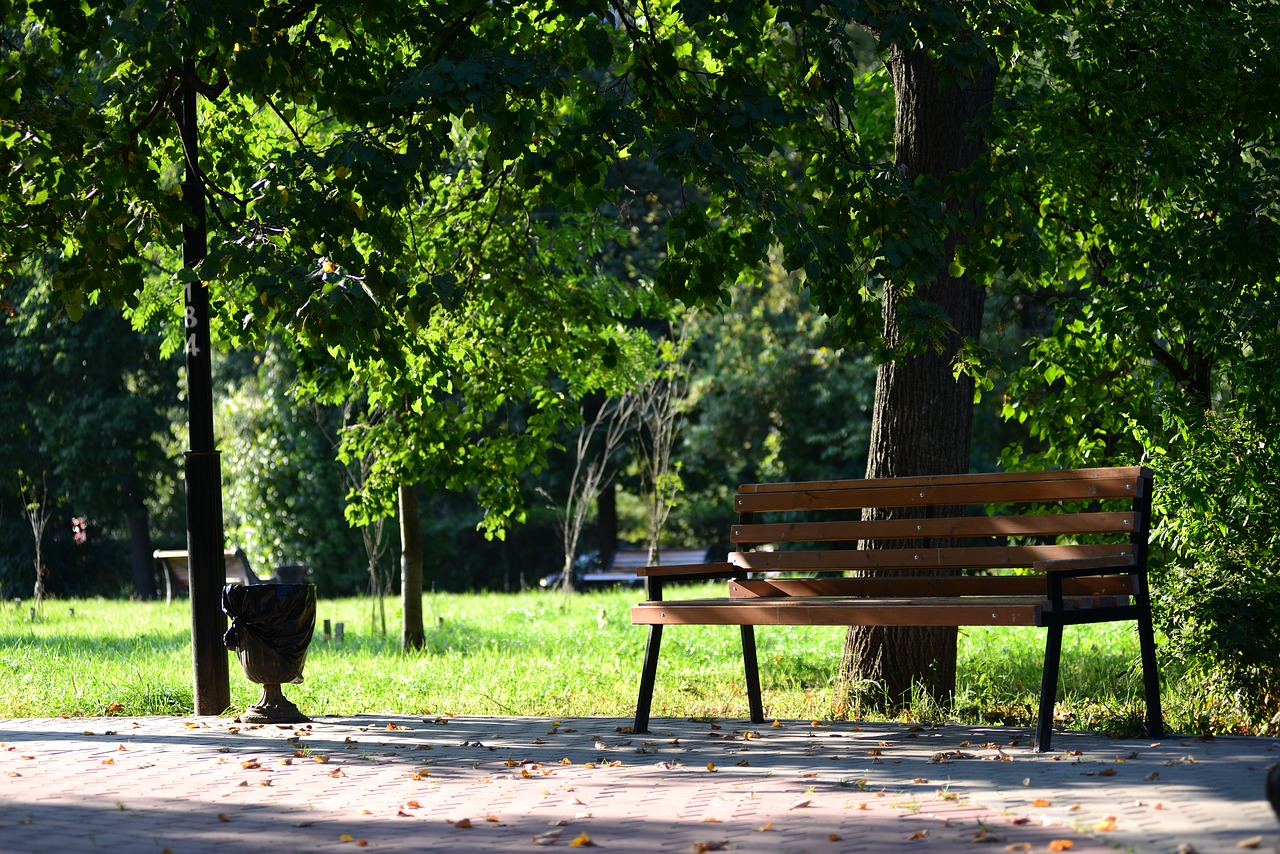 park  bench  nature free photo