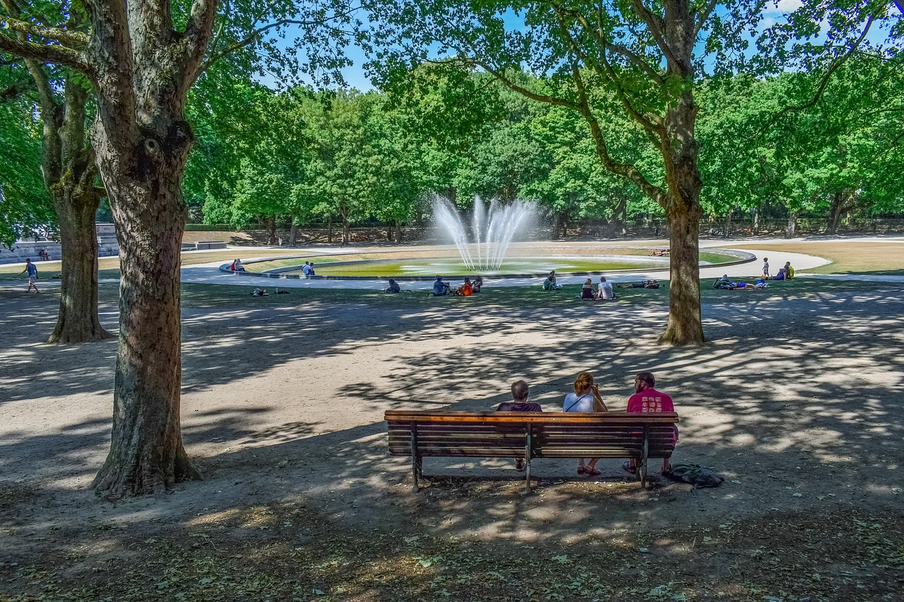 park  fountain  sunshine free photo