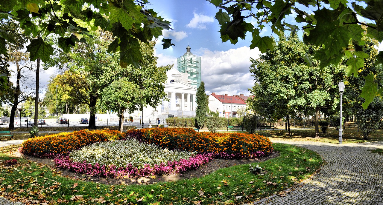 park  autumn  flowers free photo