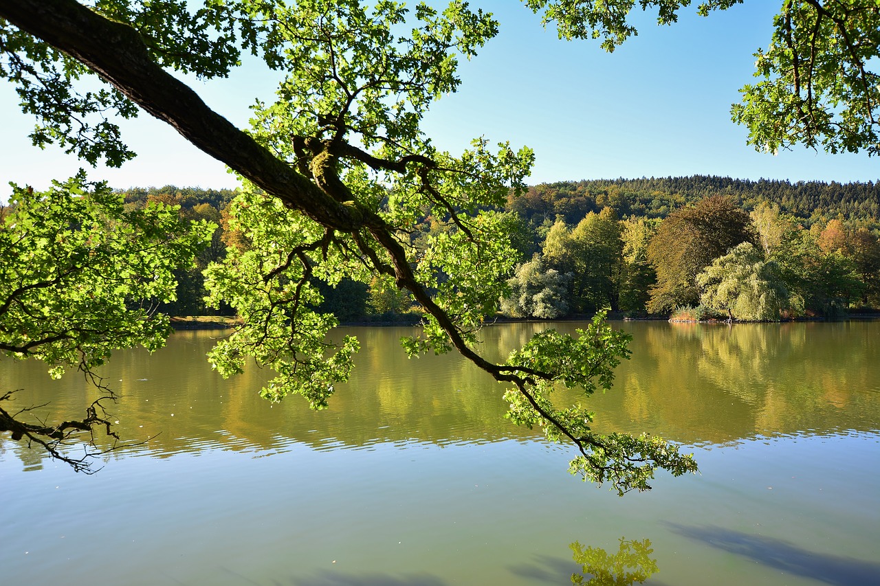 park  greiz  thuringia germany free photo