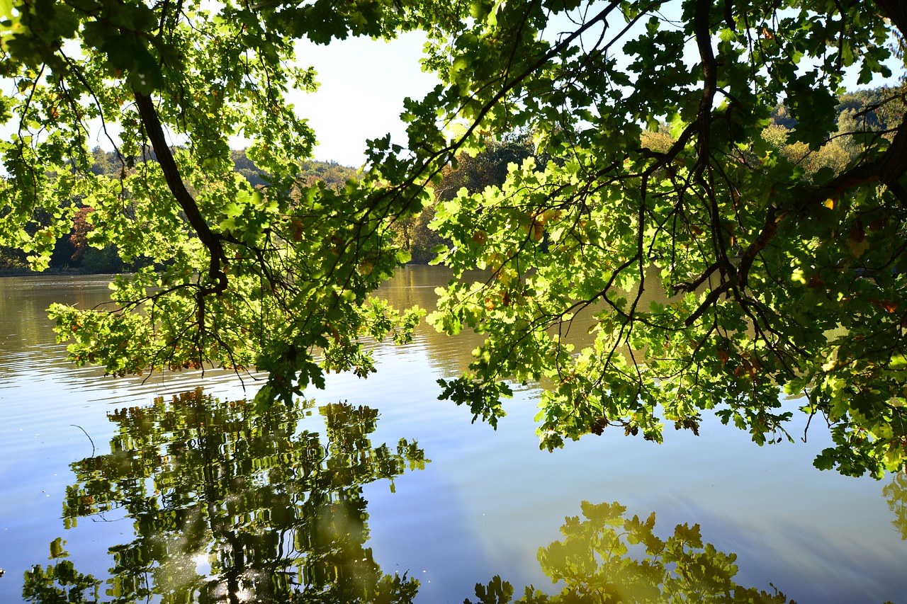 park  greiz  thuringia germany free photo