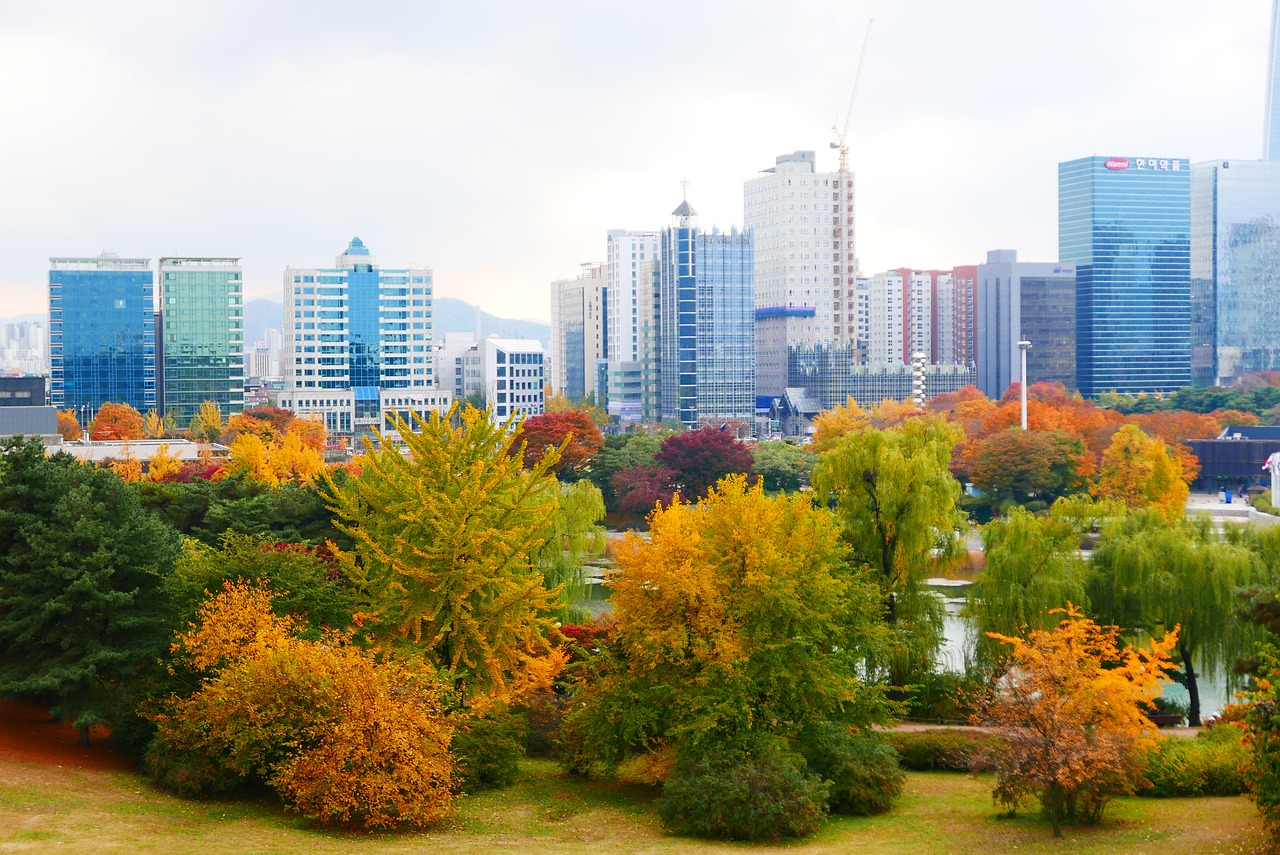 park  autumn leaves free pictures free photo