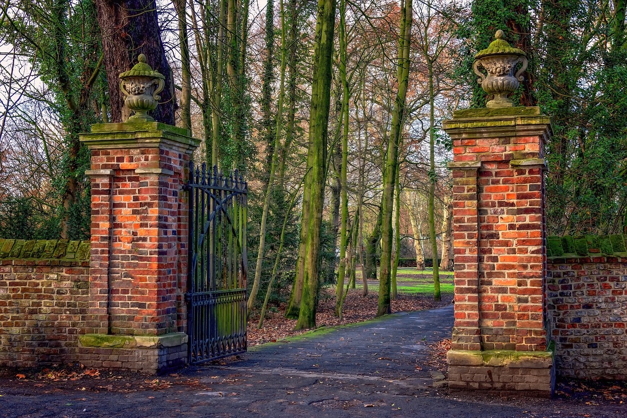 park  trees  wall free photo