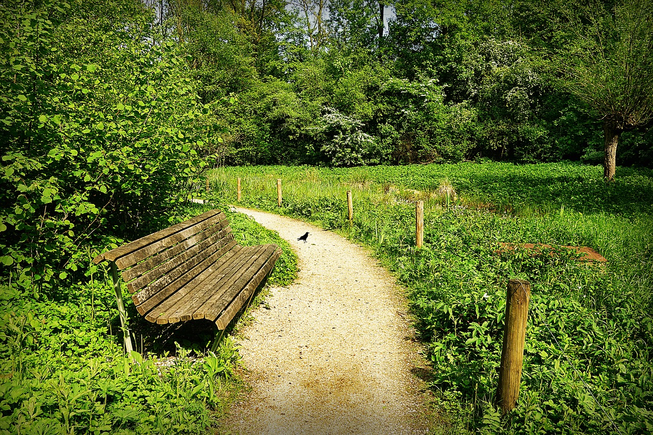 park  bench  seat free photo