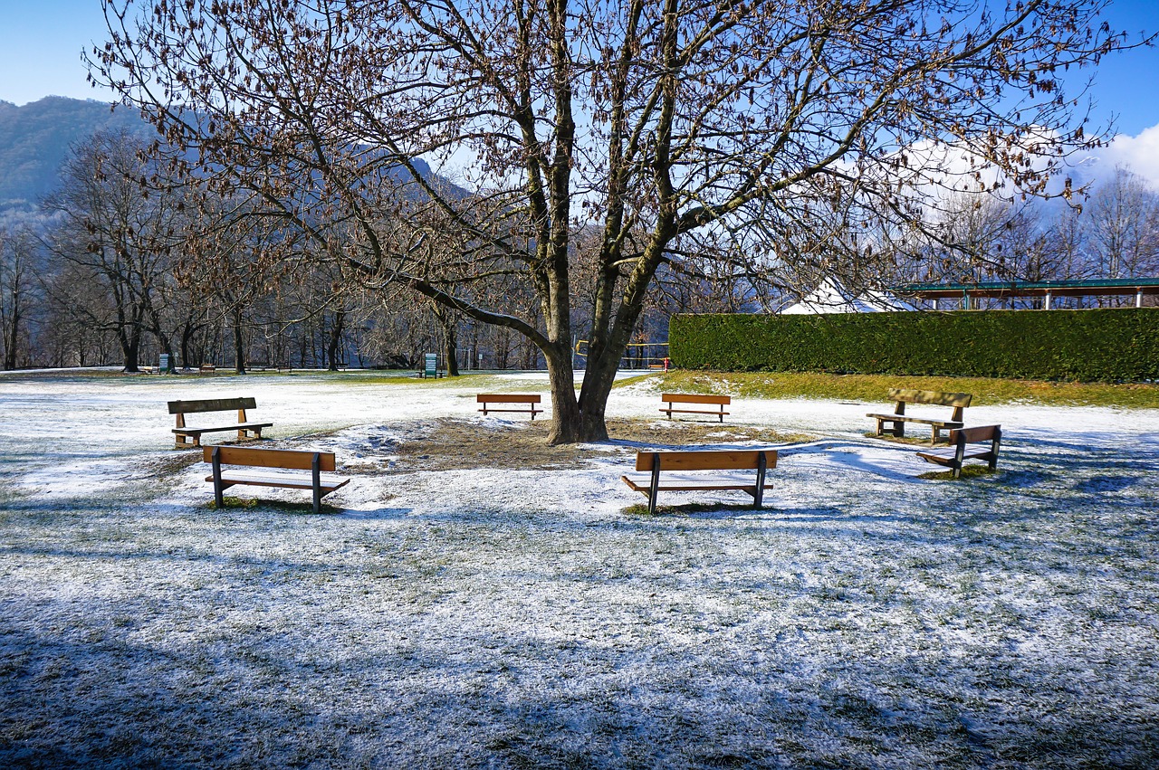 park  benches  mountain free photo