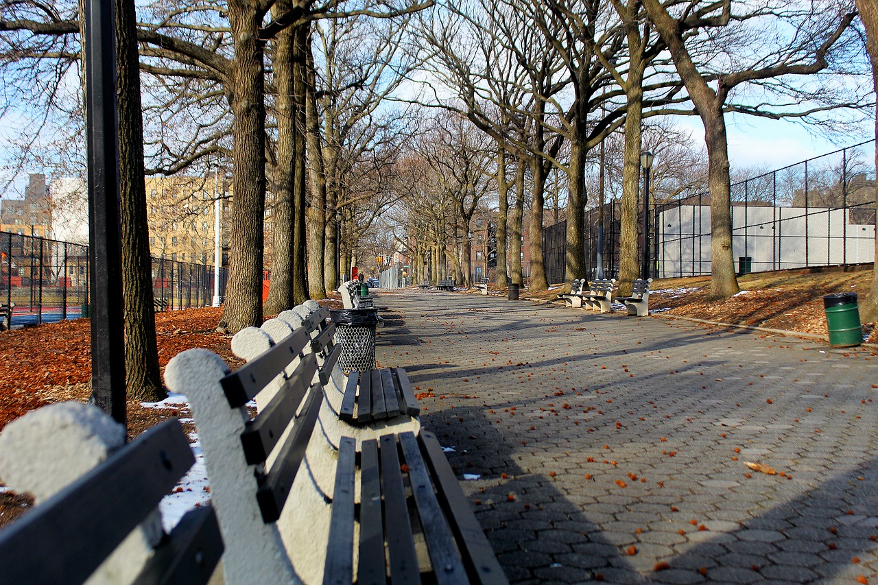 park  bench  sitting free photo