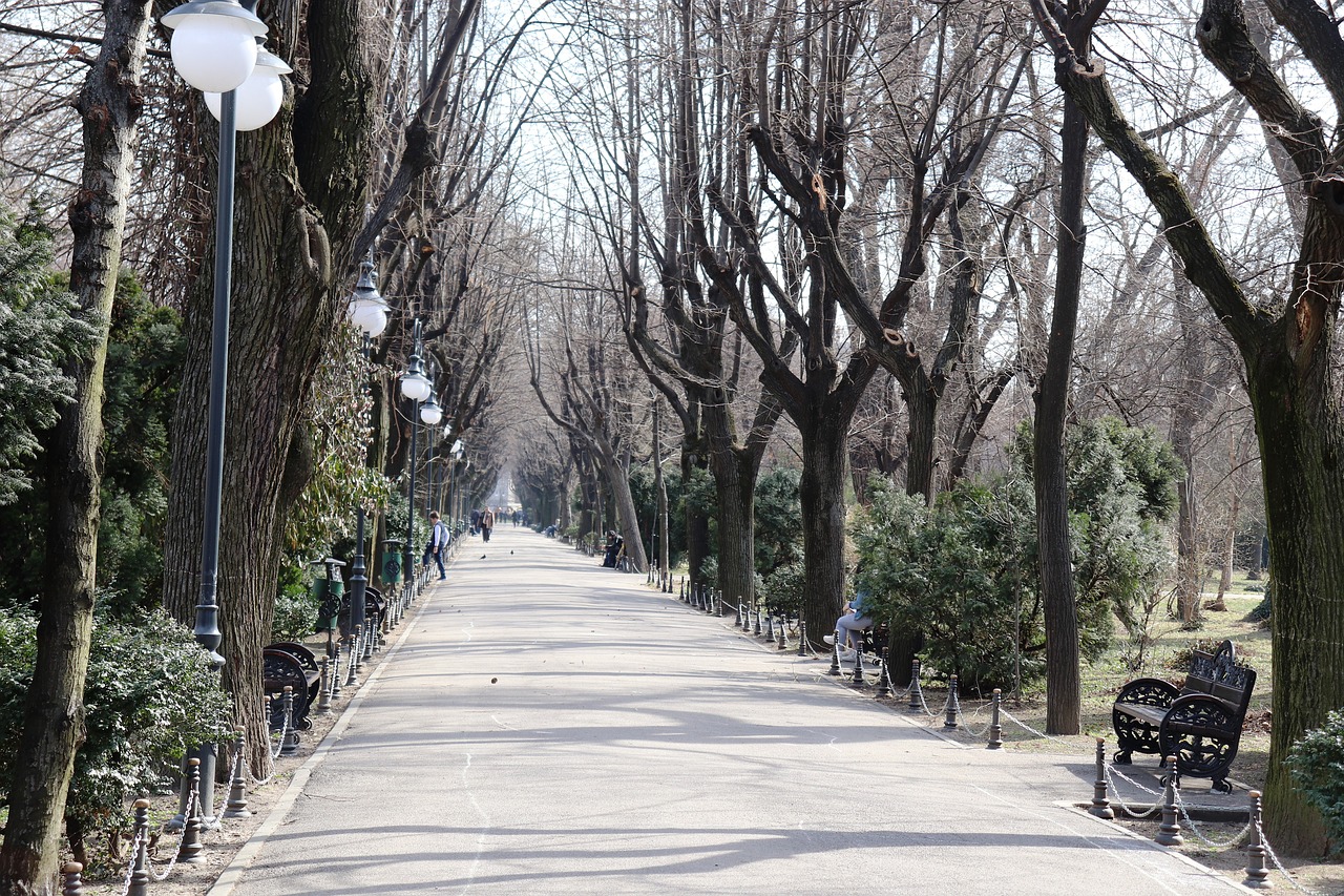 park  bucharest  ro free photo