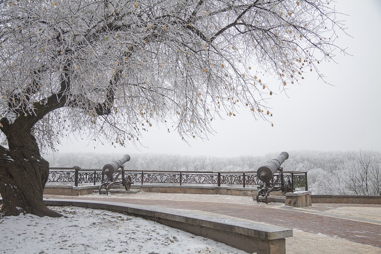 park  winter  cannon free photo