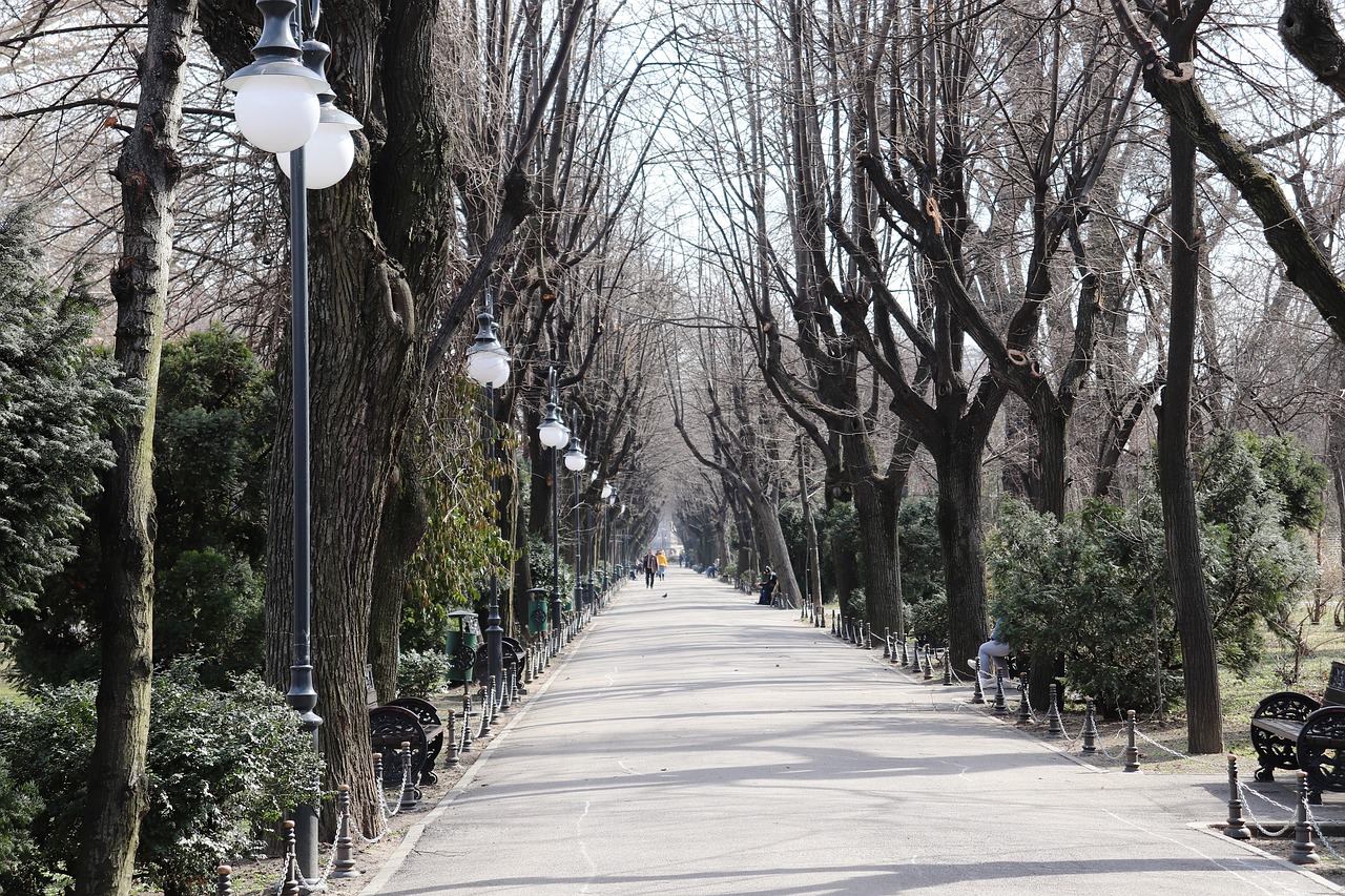 park  bucharest  ro free photo