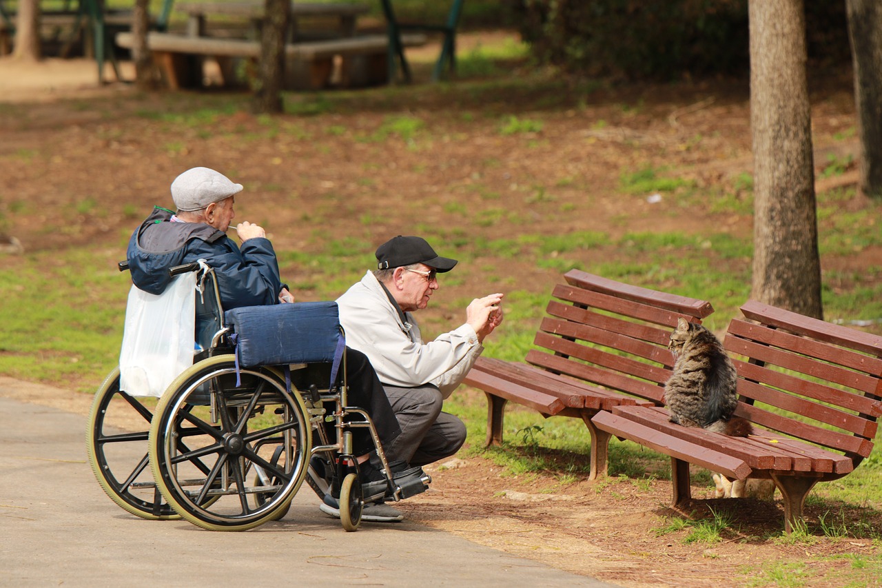 park  men  elderly free photo