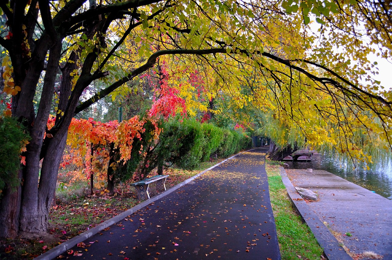 park pathway outdoor free photo