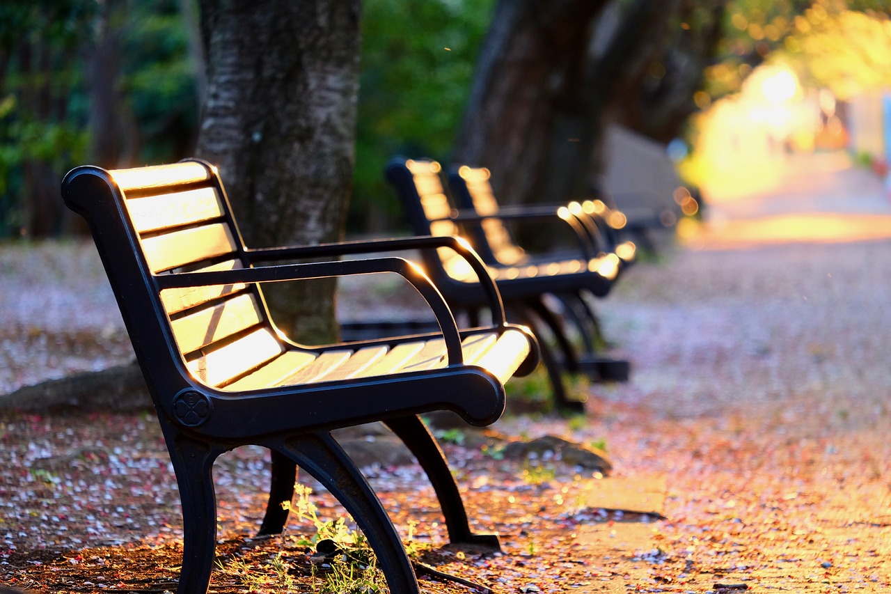 park  bench  sunset free photo