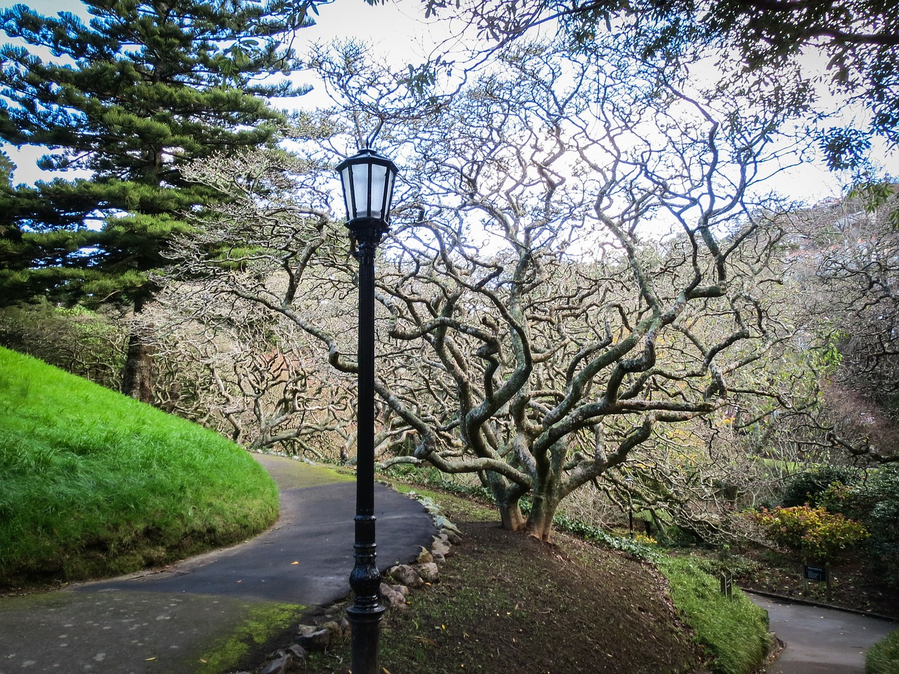 park garden lantern free photo