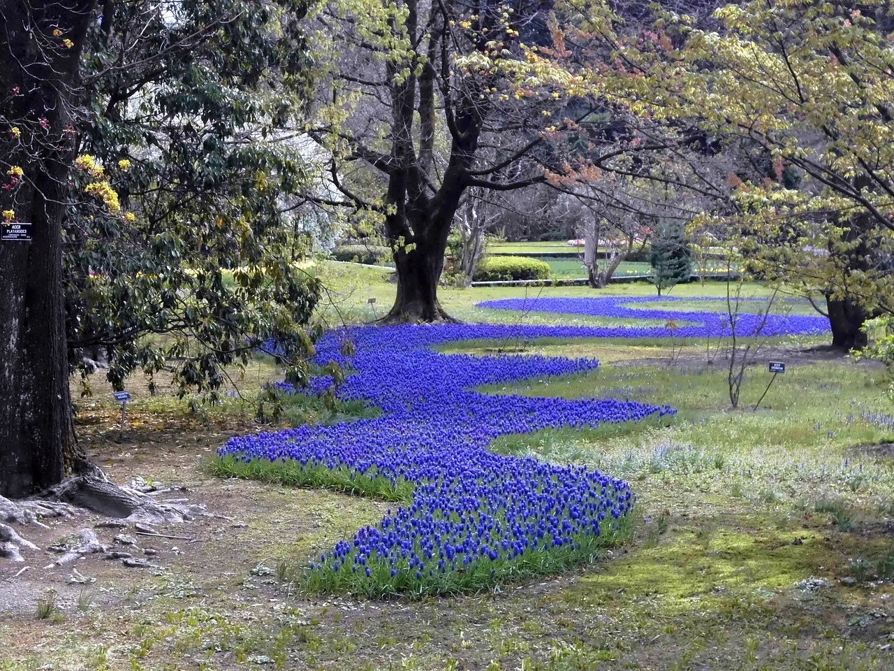 Blue park