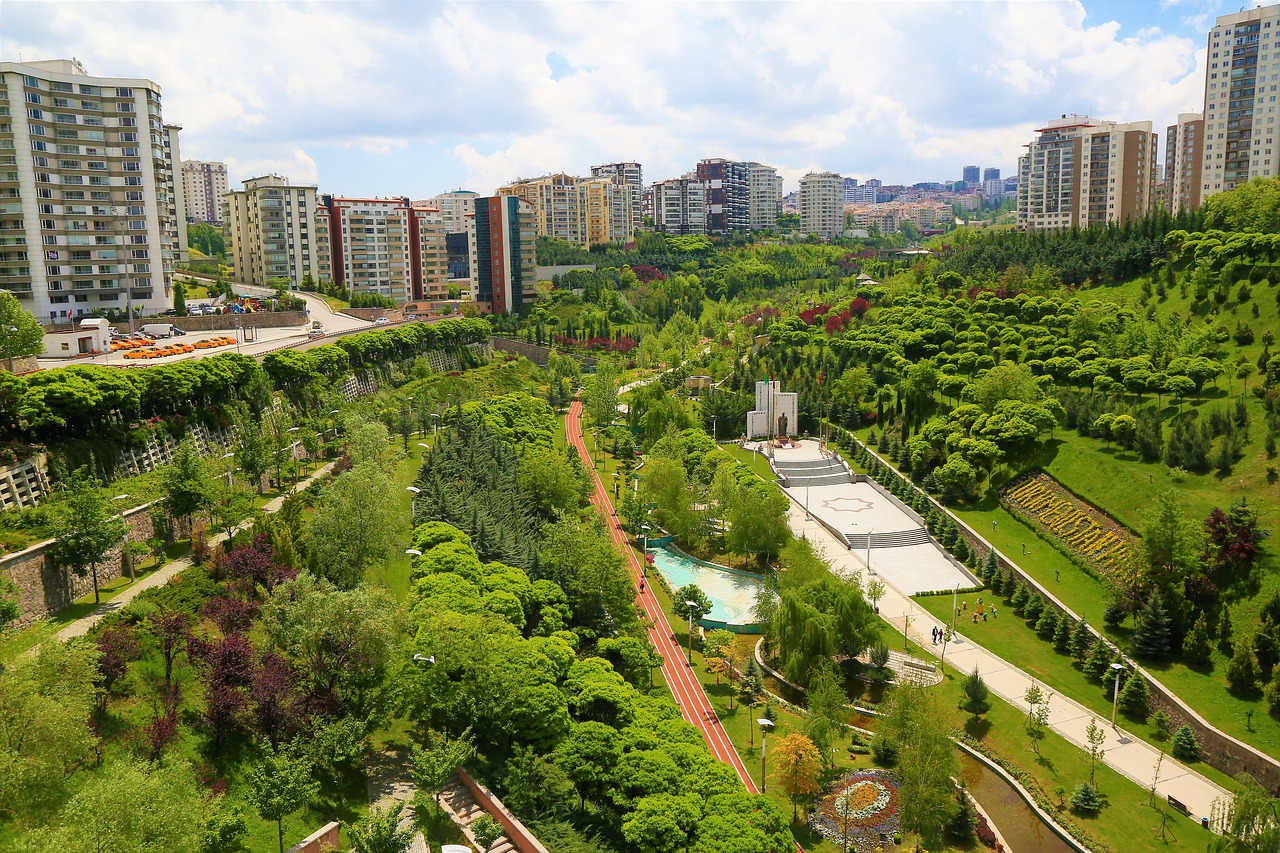 park  landscape  green free photo