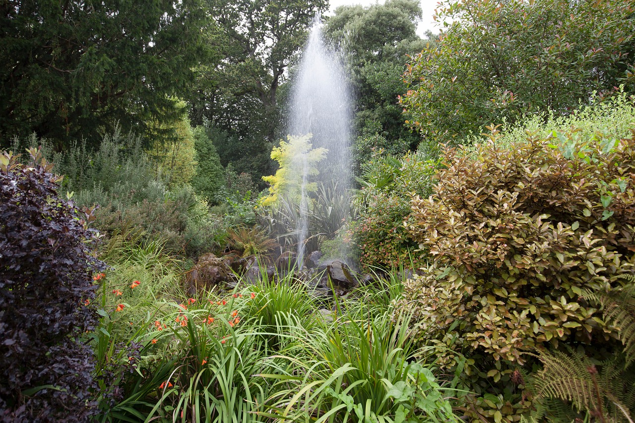 park fountain trees free photo