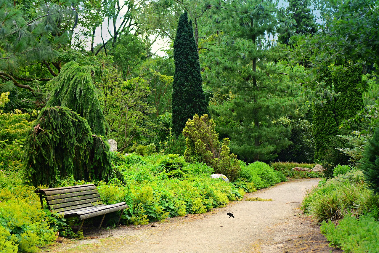 park  path  bench free photo