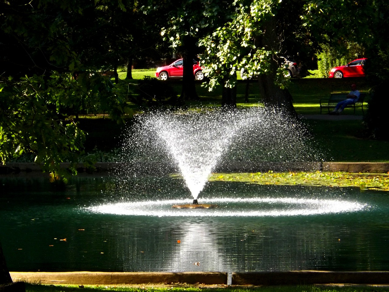 park water nature