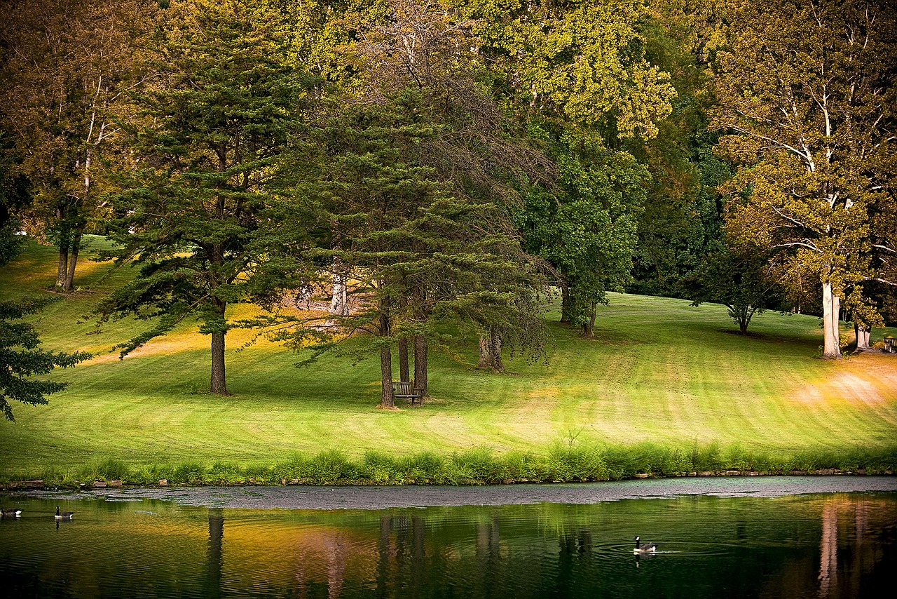 park fall autumn free photo