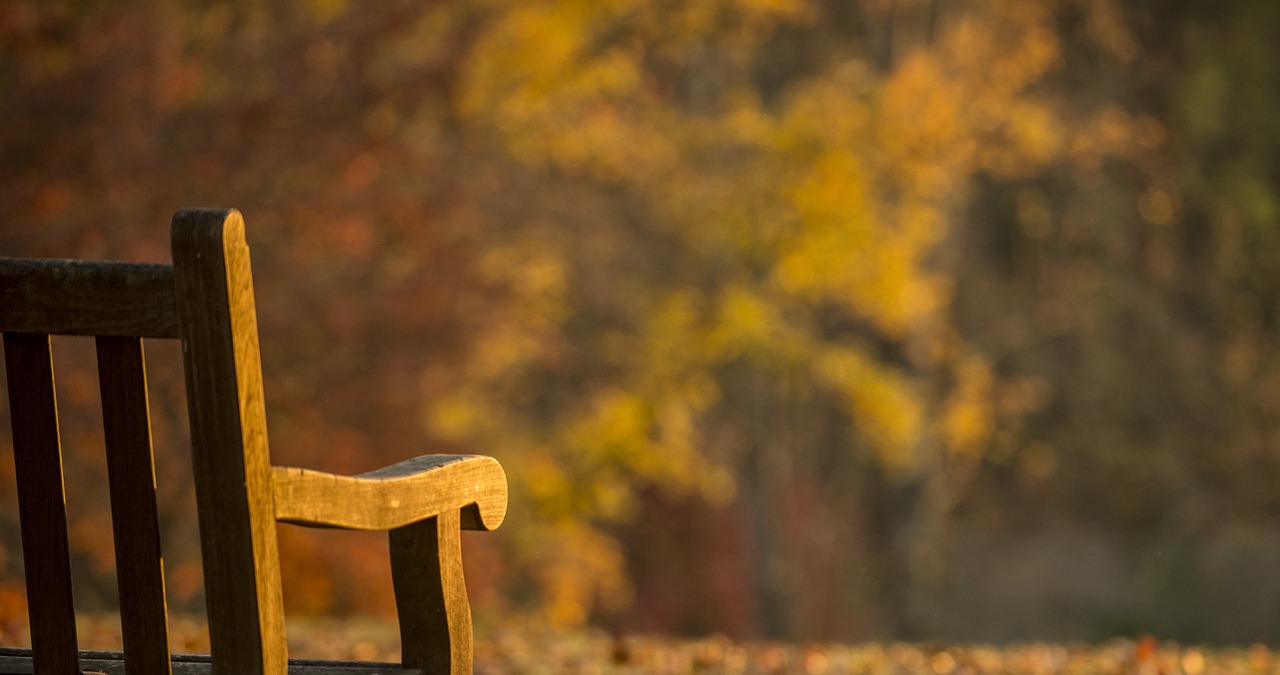 park seat bench free photo