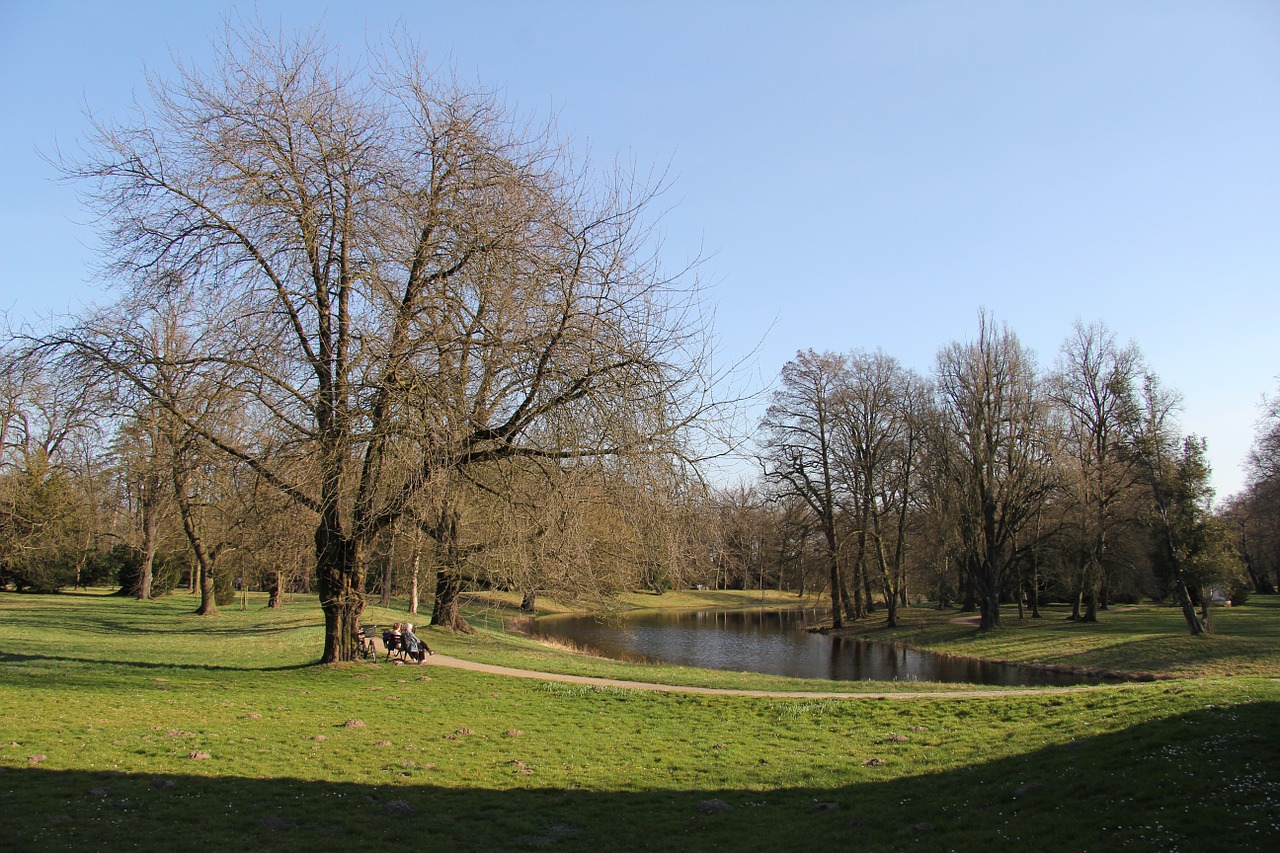 park bench lake free photo