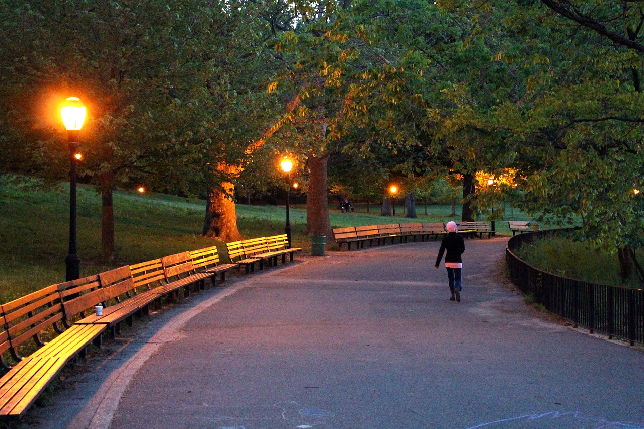 park inwood hill night free photo