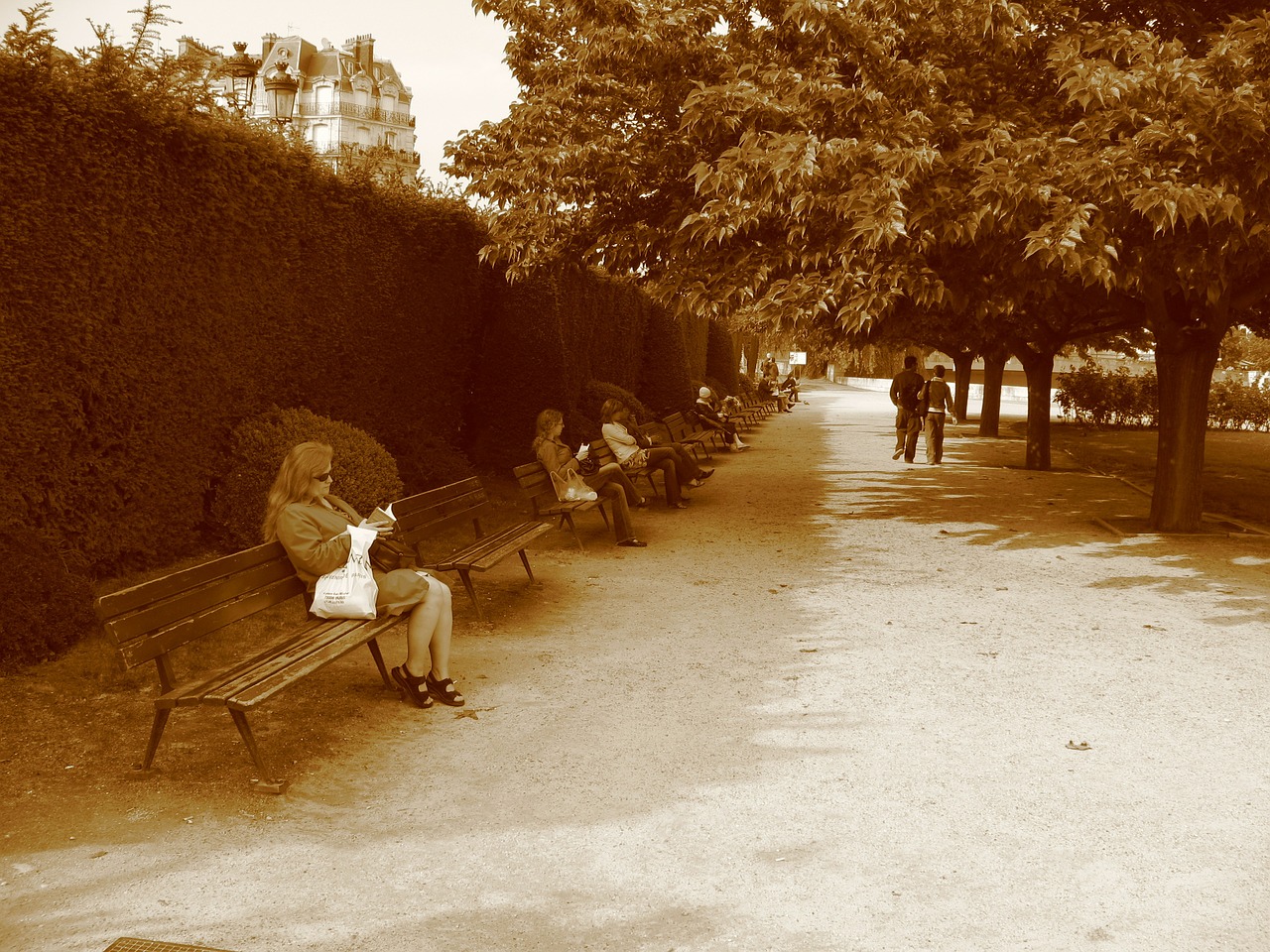 park bench paris free photo