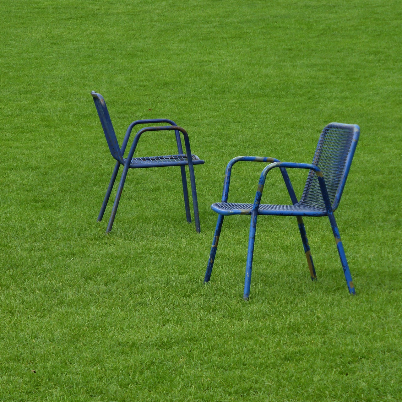 park chairs rush free photo