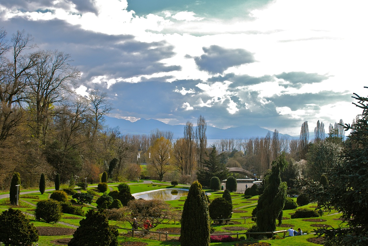 park landscape field free photo