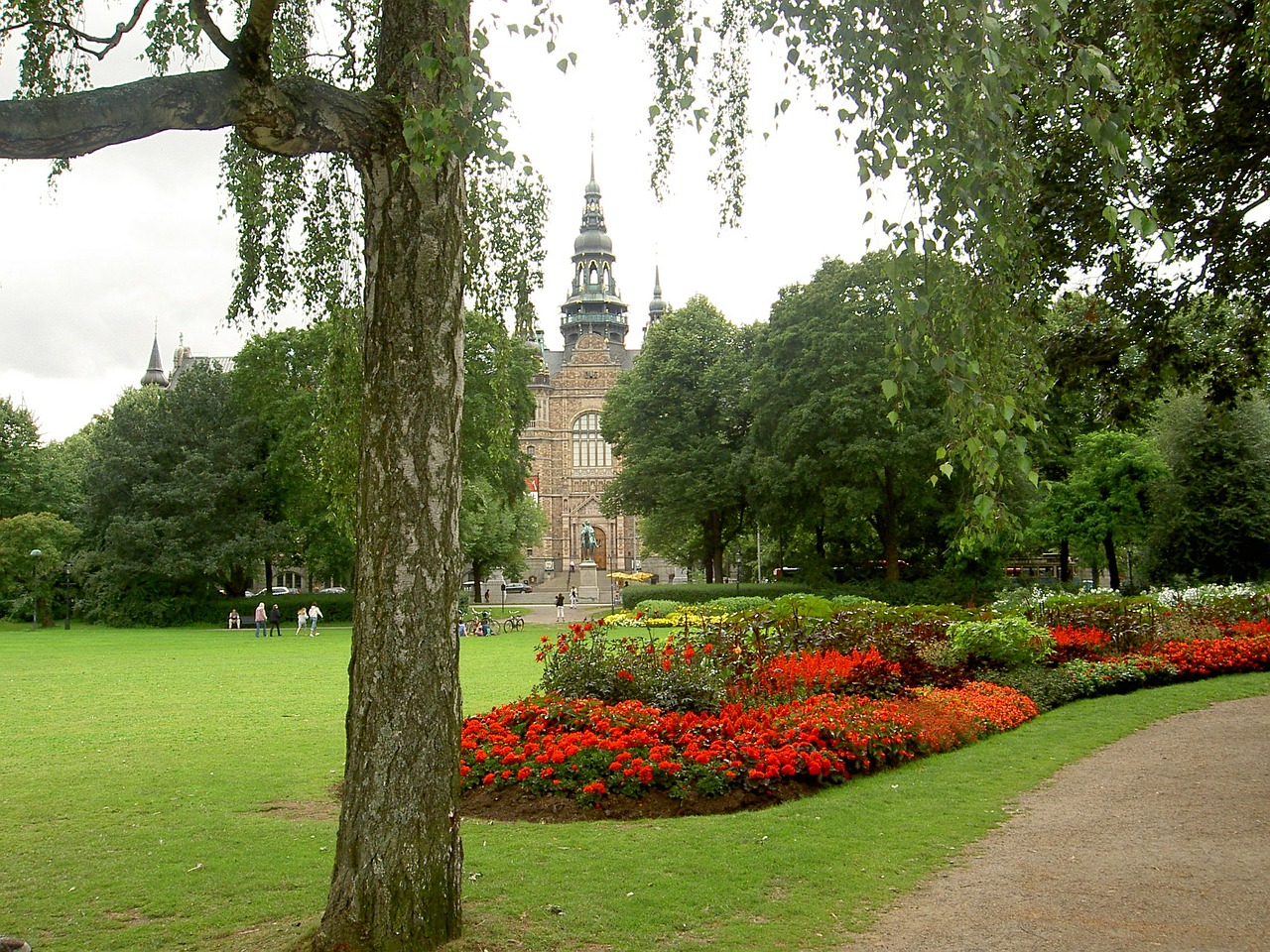 park flowers red free photo