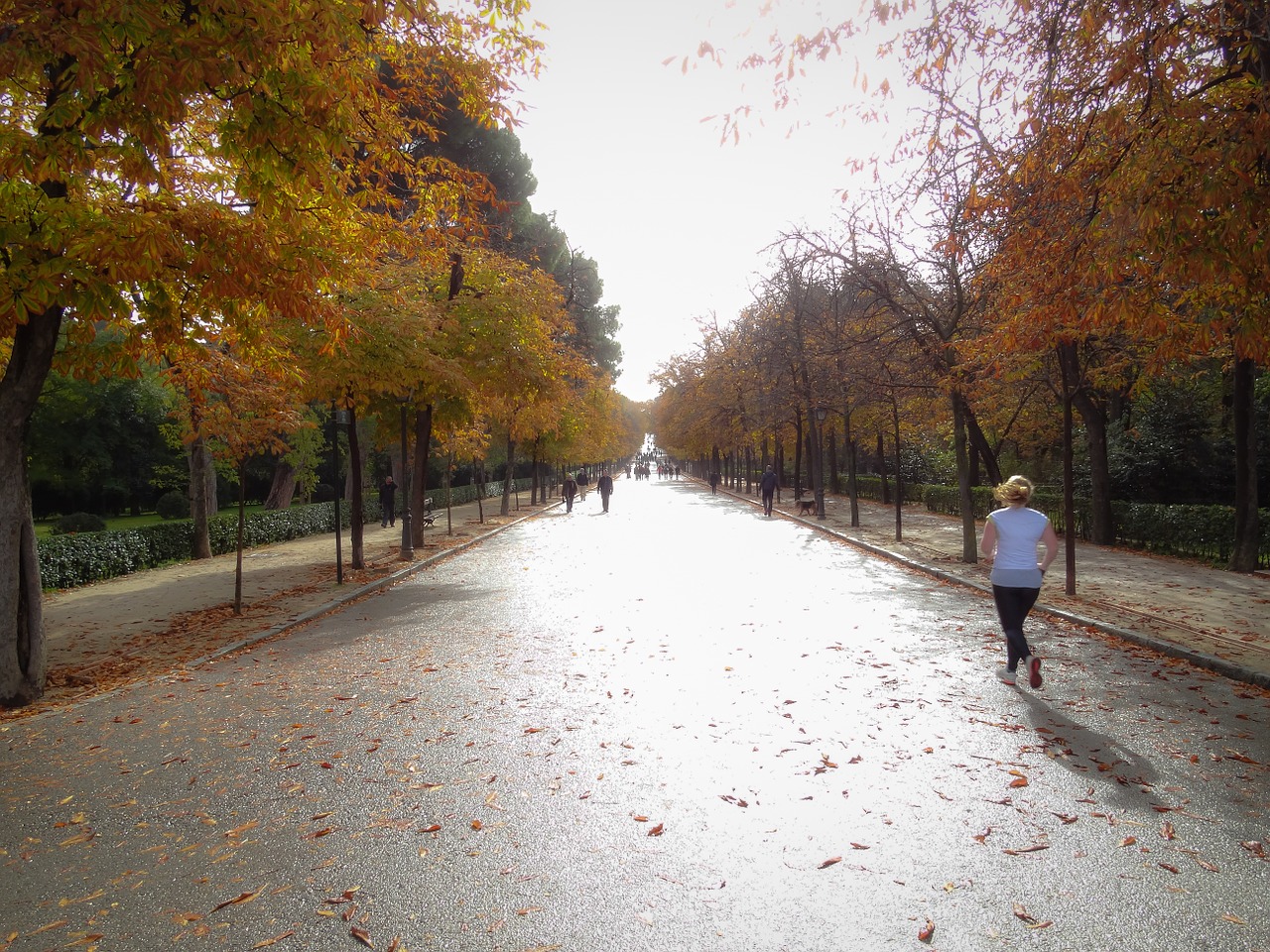 park run running free photo