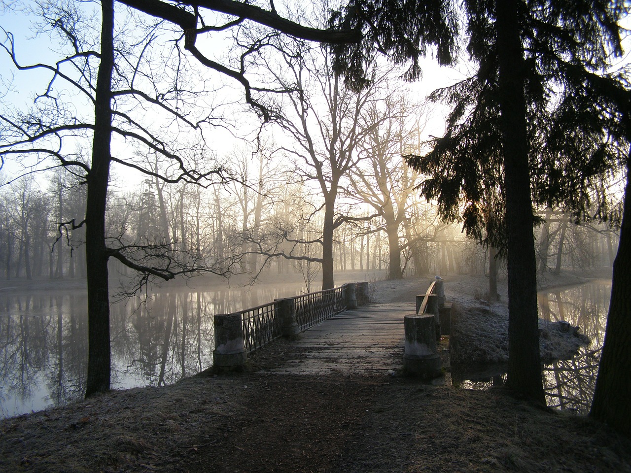 park pond spring free photo