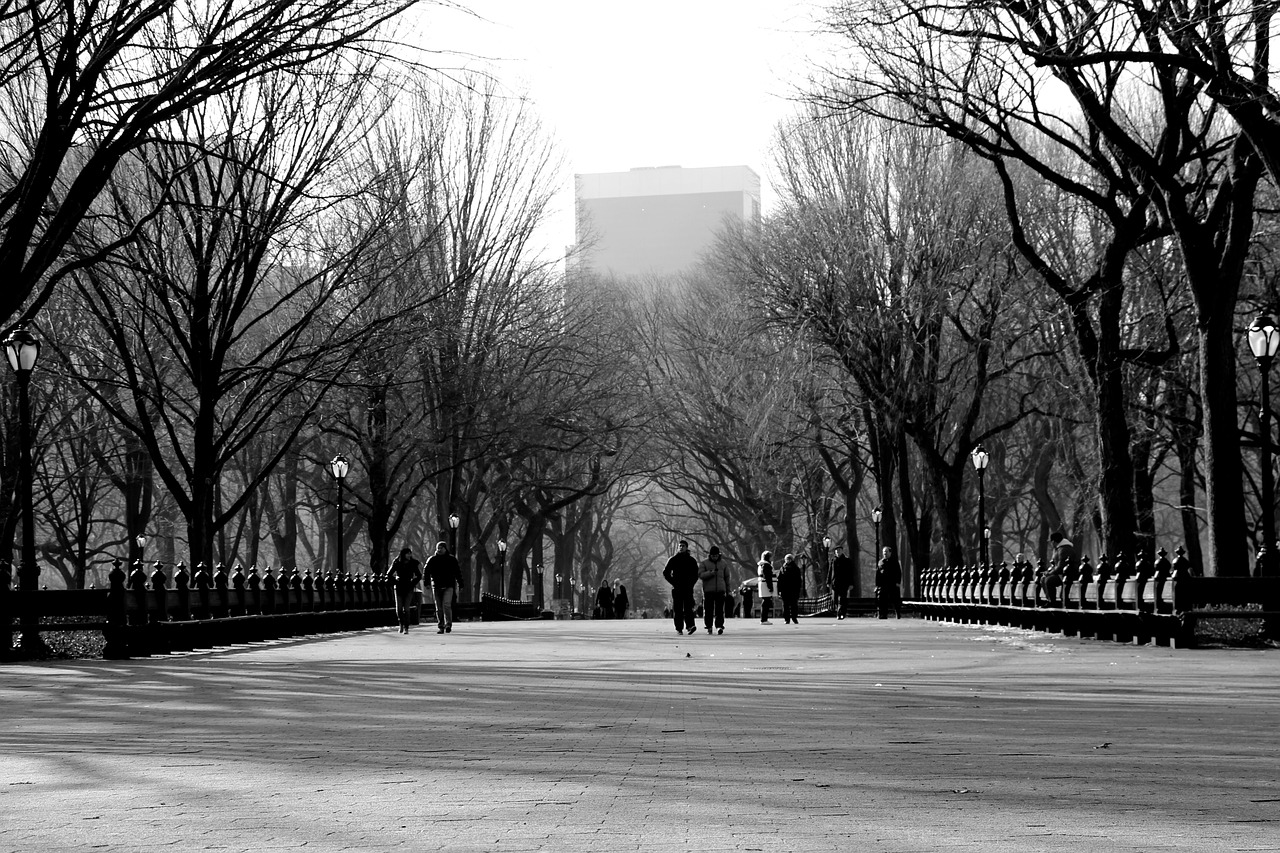 park manhattan walking free photo