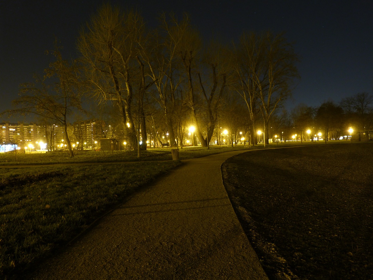 park night lights free photo