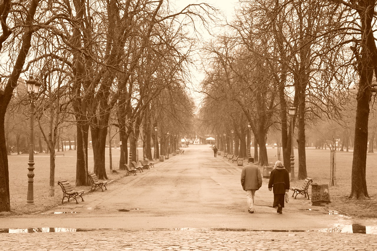 park walk rainy free photo