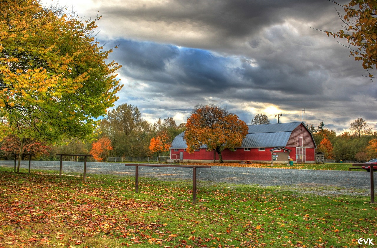 park campbell valley free photo