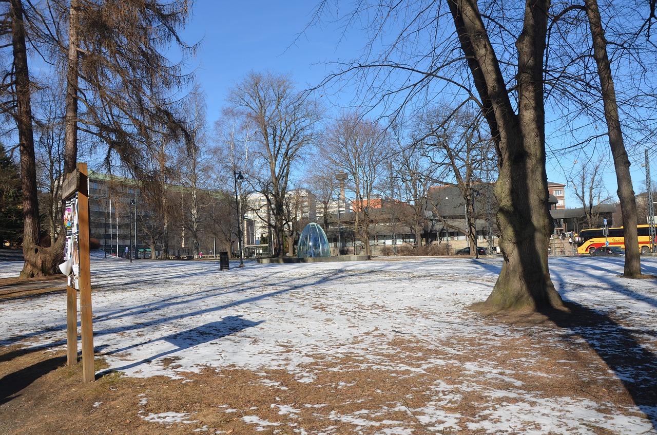 park tree snow free photo