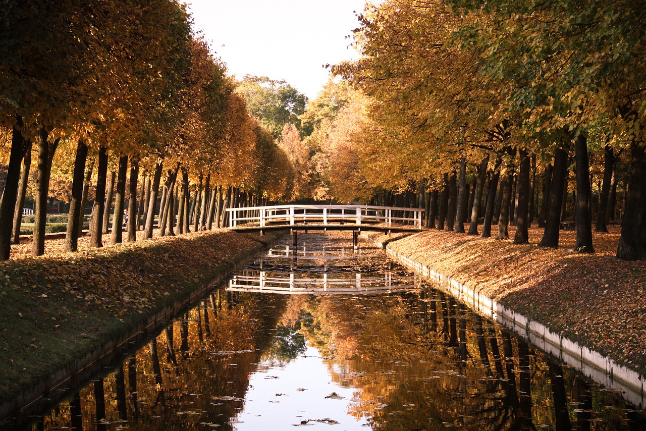 park wooden bridge nature free photo