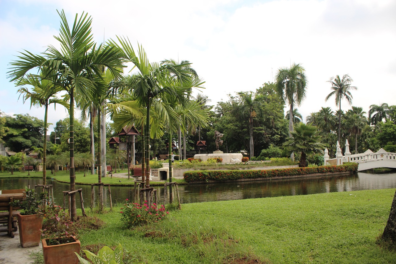 park coconut trees grassland free photo