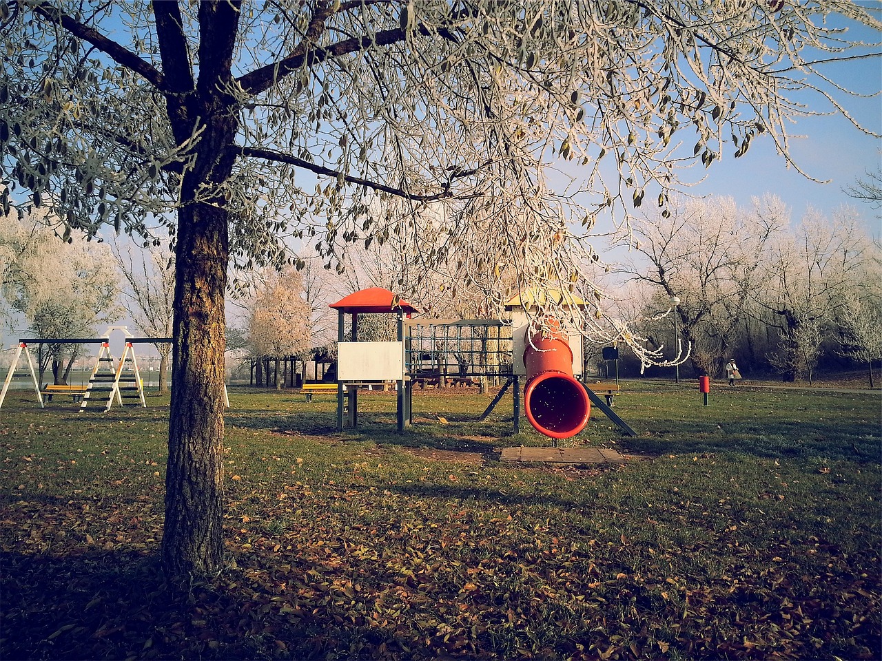 park play structure swings free photo