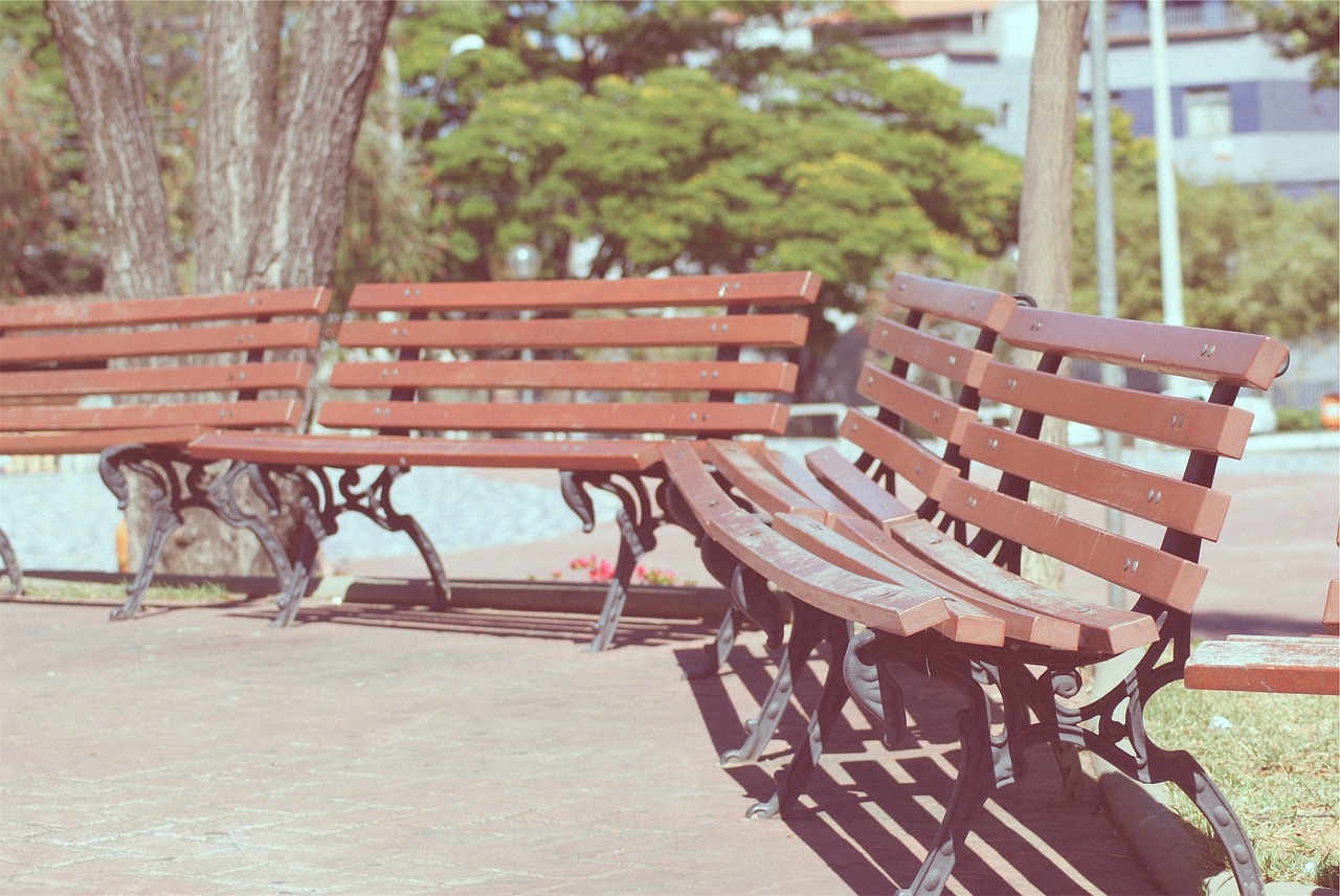 park benches sunny free photo