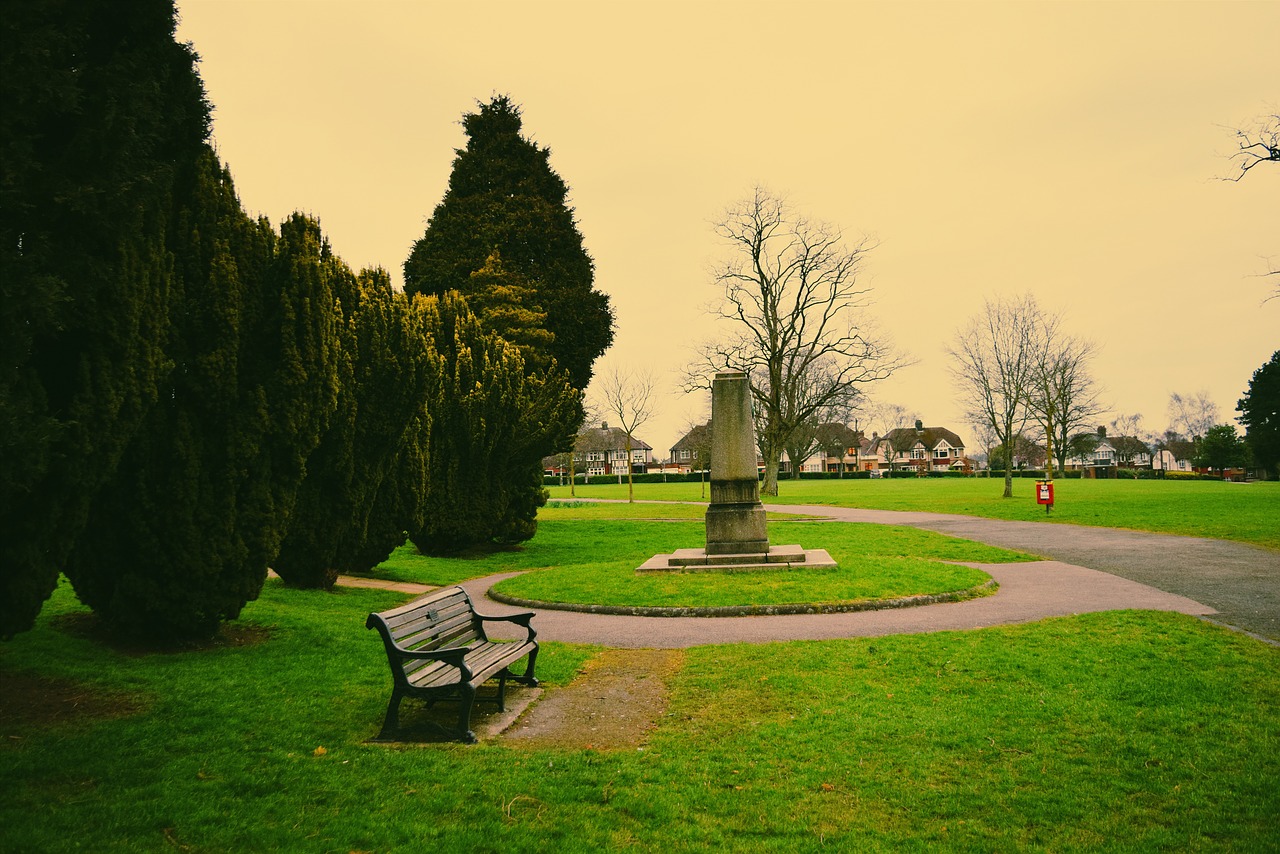 park trees bench free photo