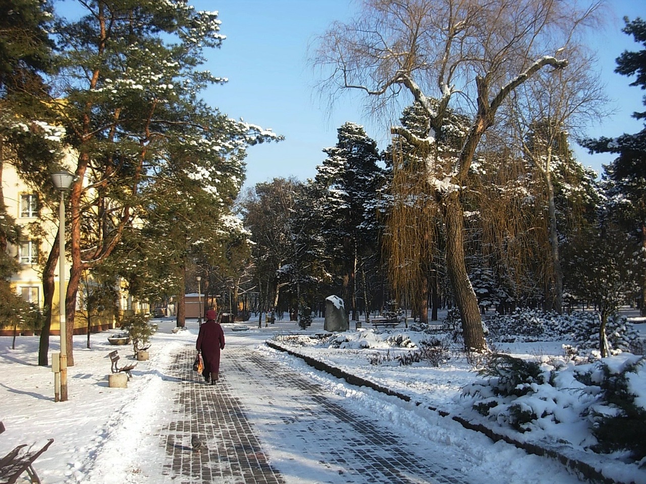 park winter snow free photo