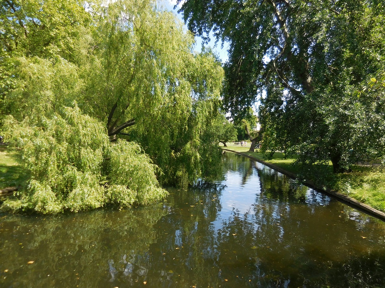 park regent's park london free photo