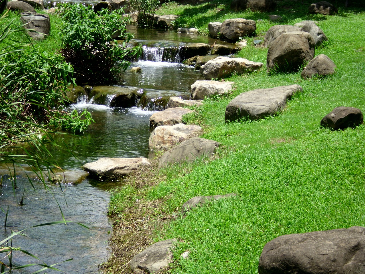 park running water grassland free photo