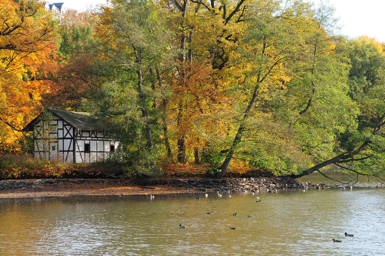 park autumn trees free photo