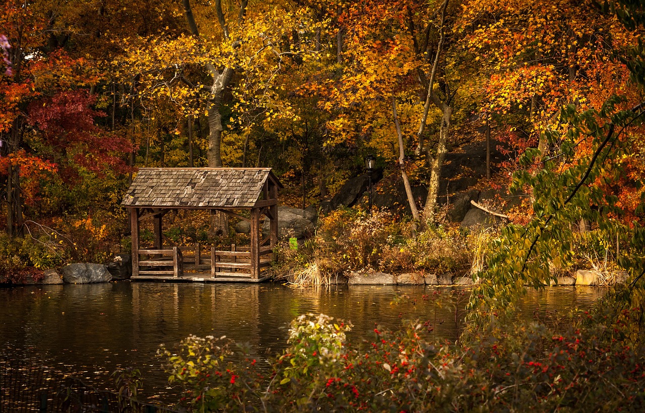 park lake autumn free photo