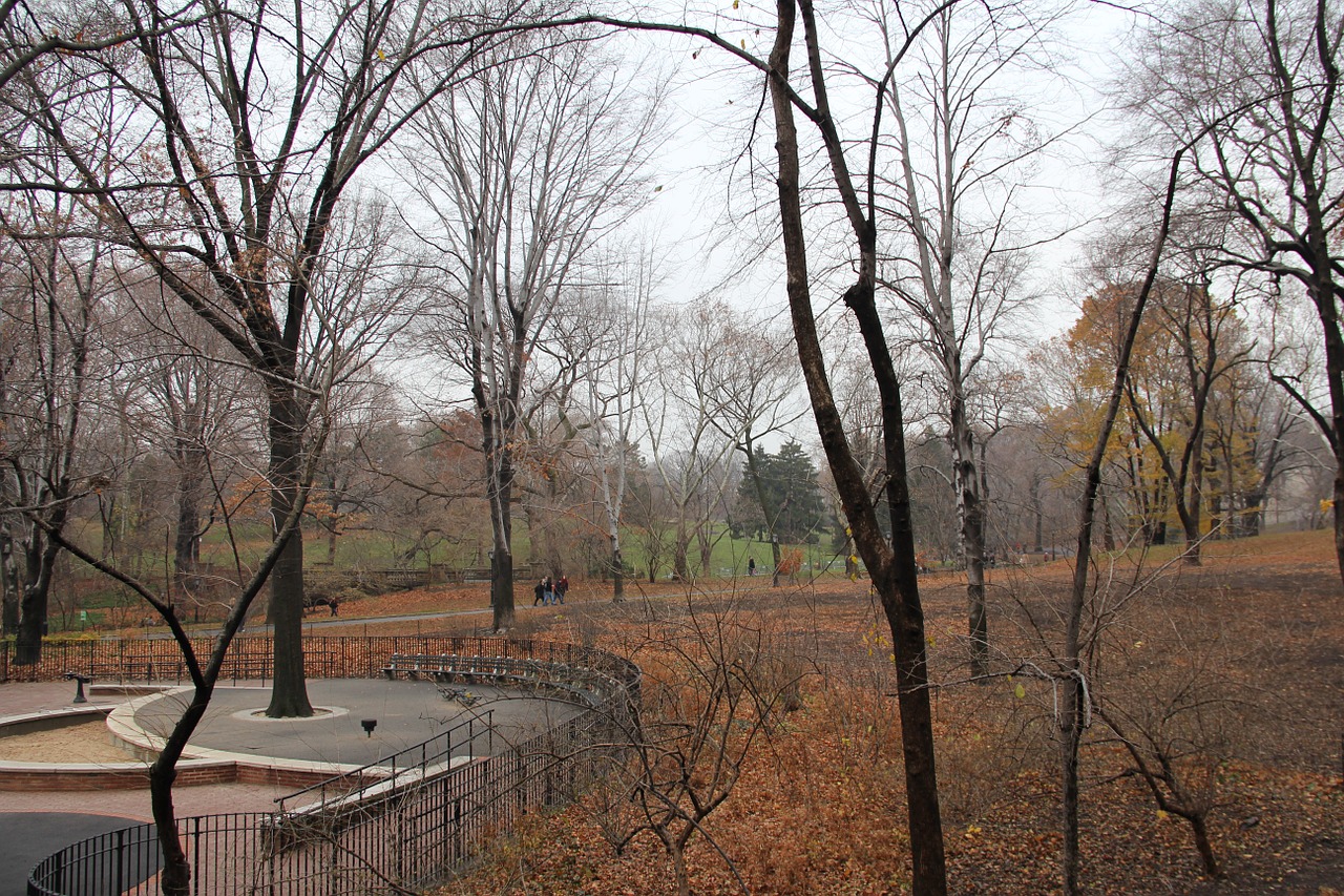 park new york central free photo