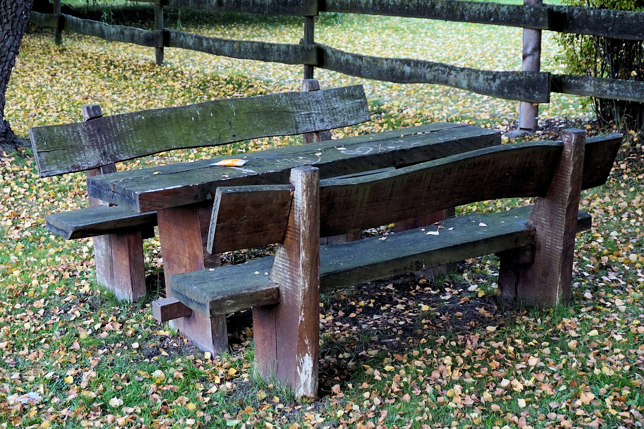 park bench bank park free photo